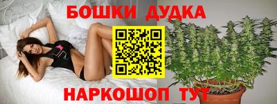 2c-b Донской