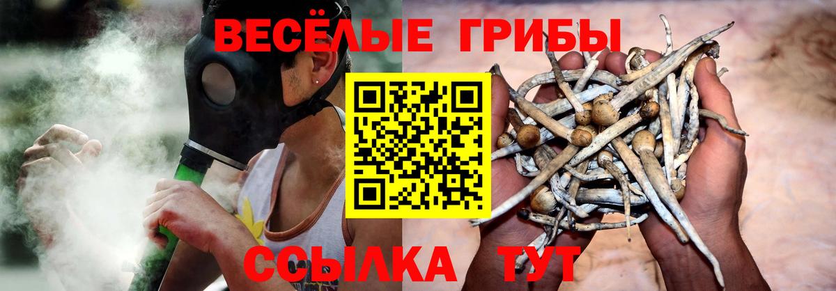 Галлюциногенные грибы MAGIC MUSHROOMS  Вход с VPN  Менделеевск 